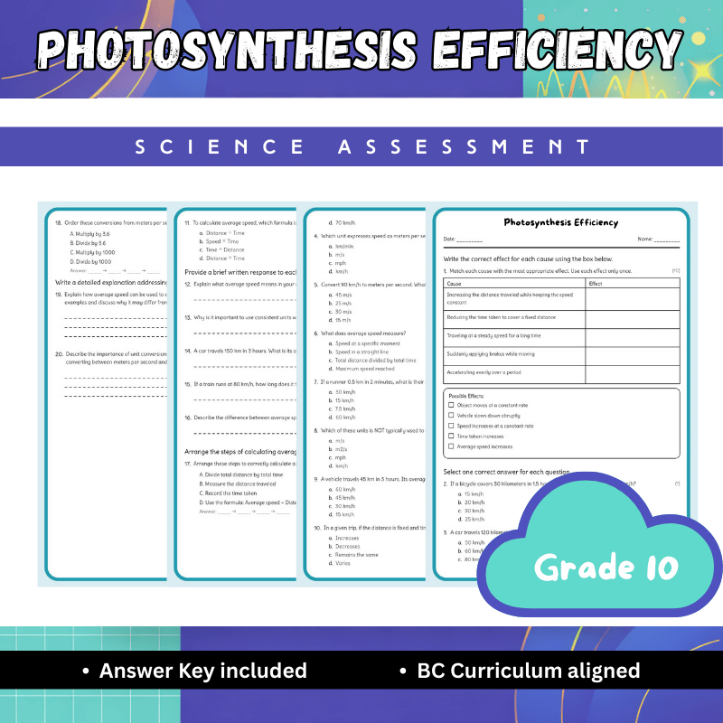 Grade 10 Science science 1 worksheet — Grade 10 Science| Photosynthesis Efficiency Worksheet(Answer Key) – BC Standards