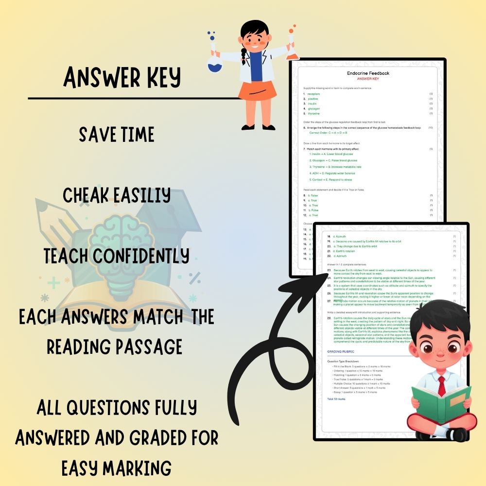 Grade 9 Science worksheet worksheet — Grade 9 Science – Endocrine Feedback Worksheet (Answer Key) | Ontario Standards — pa…