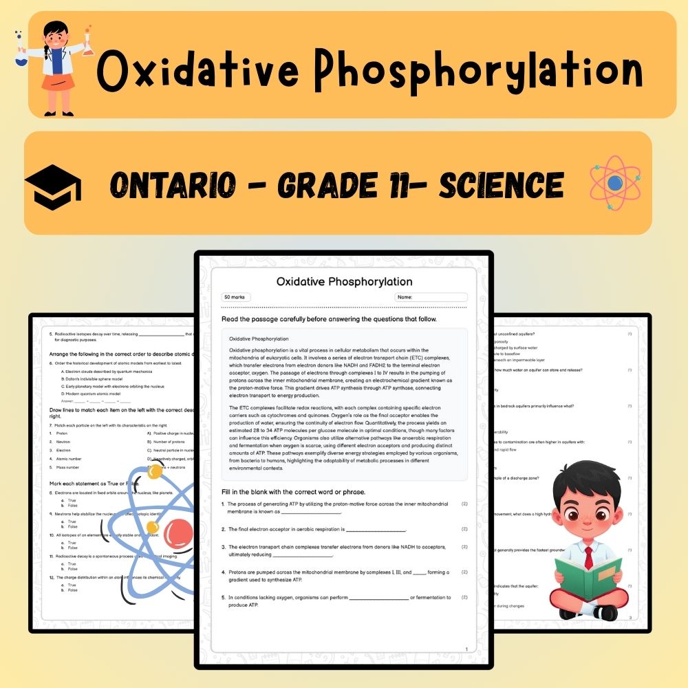 Grade 11 Science worksheet worksheet — Grade 11 Science – Oxidative Phosphorylation  – Ontario Standards — page 1
