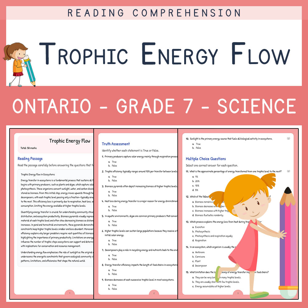 Grade 7 Science worksheet worksheet — Grade 7 Science | Trophic Energy Flow Worksheet & Answer Key (PDF) — page 1