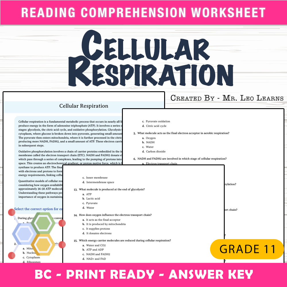 Grade 11 Science worksheet mcq paper worksheet — Grade 11 Science — Worksheet MCQ Paper for Mastering Cellular Respiration…