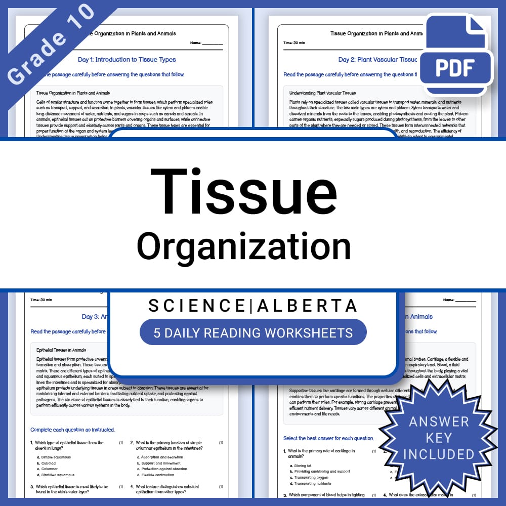 Grade 10 Science Full Year Bundle | Energy, Electricity, and Alberta Curriculum — included worksheet 27