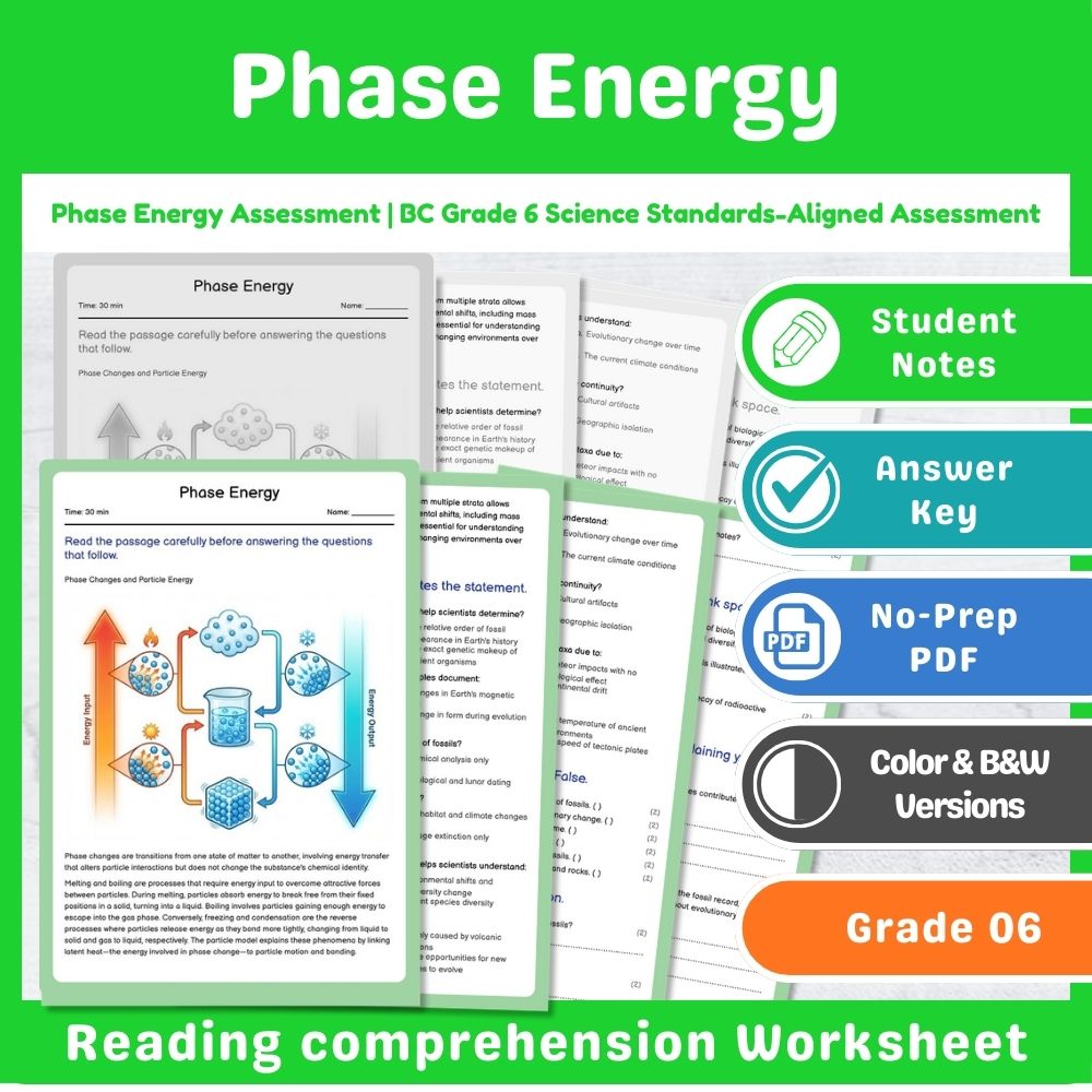 Grade 6 Science – Chemistry Assessment Mini Bundle | BC Standards-Aligned — included worksheet 5