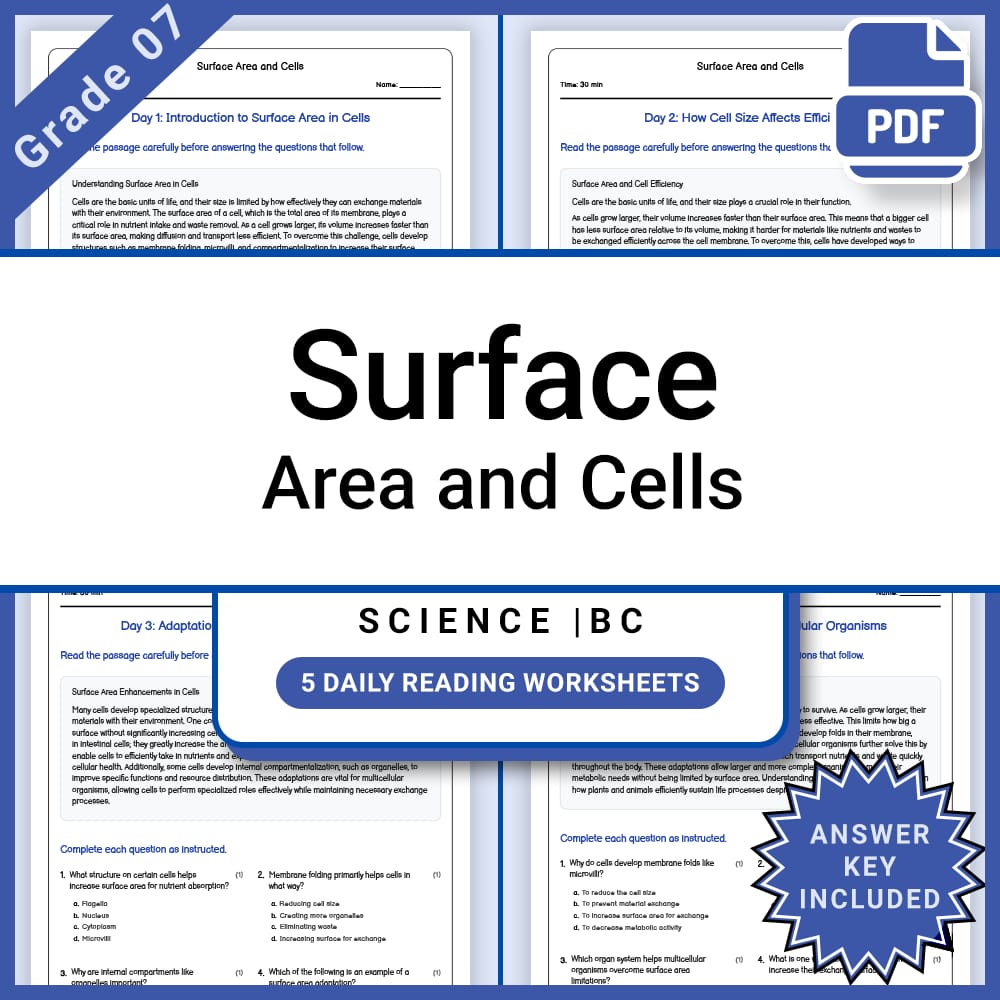Grade 7 Science Lesson Group Bundle | Cell Structures and Processes — included worksheet 6