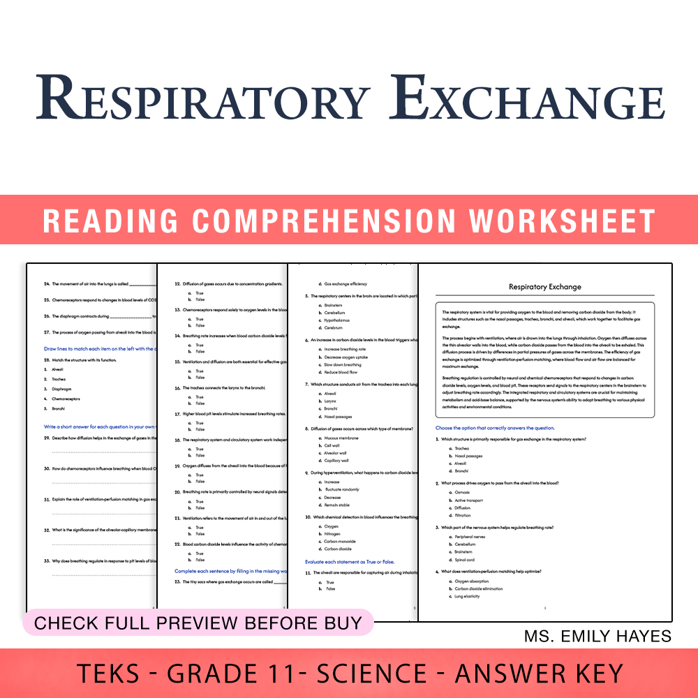 Grade 11 Science worksheet worksheet — 11th Grade Science | Respiratory Exchange Worksheet (PDF+ Answer Key) — page 1