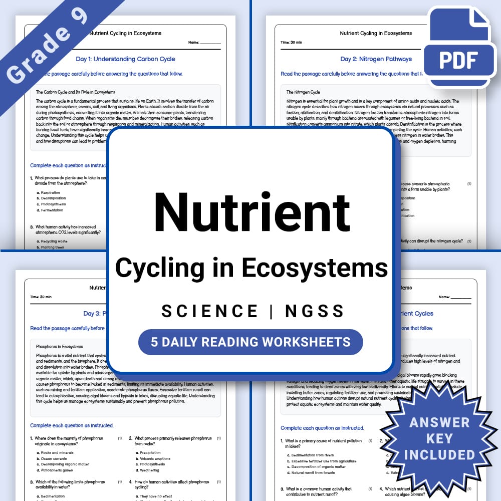 Grade 9 Science daily reading worksheet worksheet — Grade 9 Science – Nutrient Cycling in Ecosystems Worksheet(PDF + Answe…