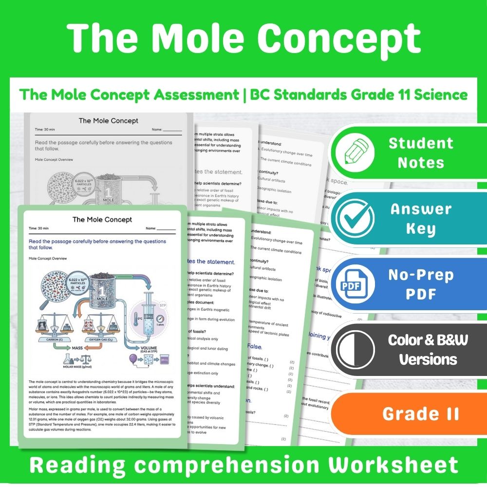 Grade 11 Science | Thermochemistry Assessment Bundle – Standards-Aligned — included worksheet 7