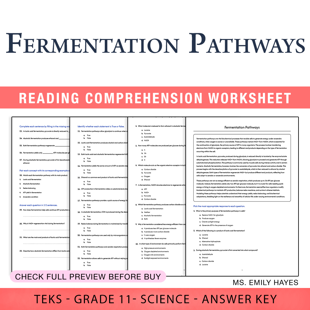 Grade 11 Science worksheet worksheet — 11th Grade Science | Fermentation Pathways Worksheet (PDF+ Answer Key) — page 1