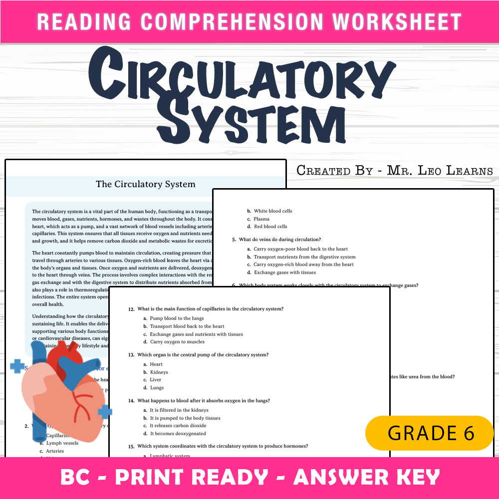 Grade 6 Science worksheet mcq paper worksheet — Grade 6 Science – The Circulatory System MCQ Worksheet for Mastery — page 1