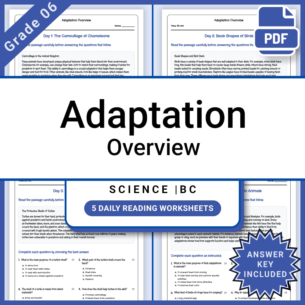 Grade 6 Science Full Year Bundle | Body Systems, Waves, Ecology & More — included worksheet 19