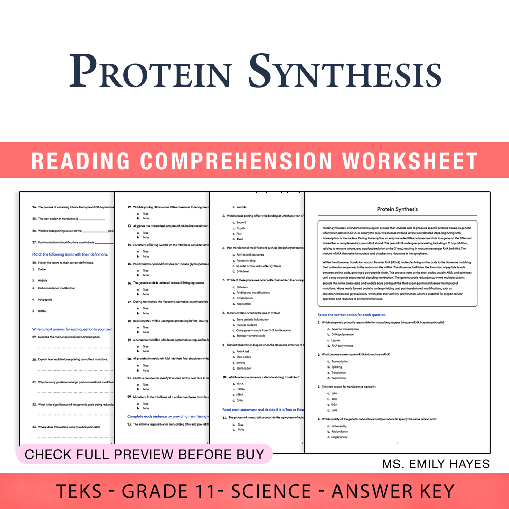 Grade 11 Science worksheet worksheet — 11th Grade Science | Protein Synthesis Worksheet (PDF+ Answer Key) — page 1