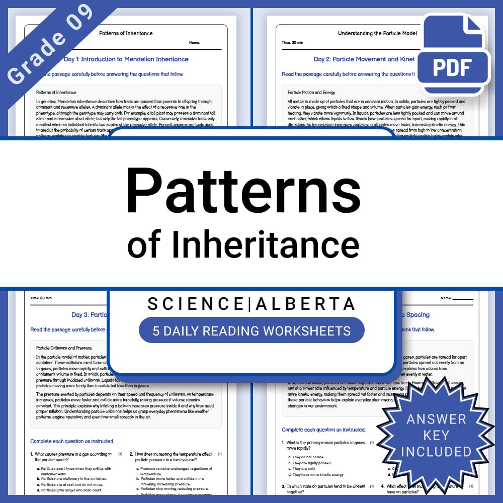 Grade 9 Science Full Year Curriculum Bundle | Genetics, Energy, Physics — included worksheet 26