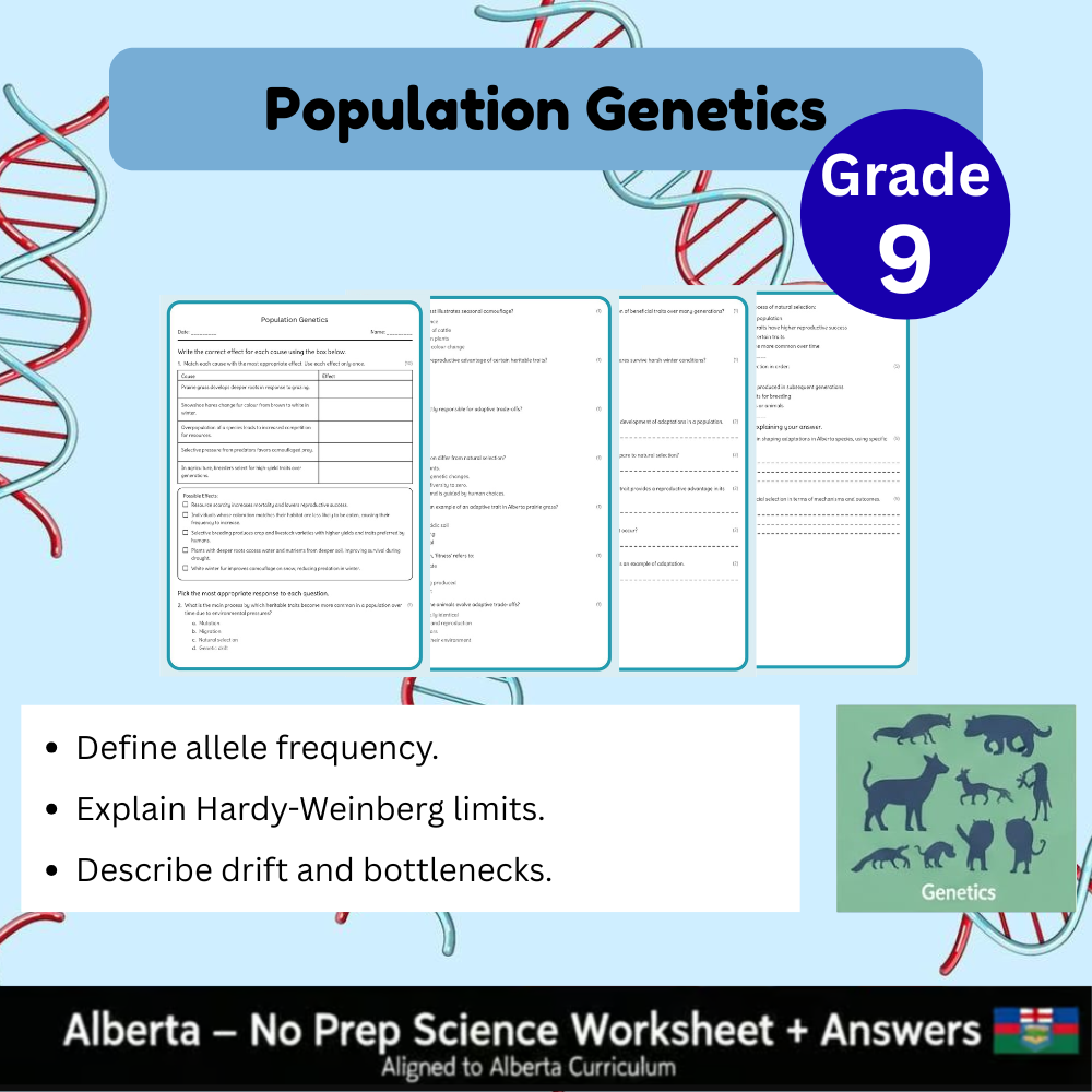 Grade 9 Science Worksheet Bundle | Genetics, Chemistry & Physics Concepts — included worksheet 24