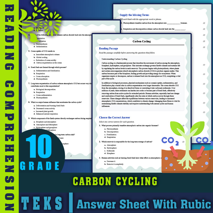 Grade 10 Science reading worksheets worksheet — Grade 10 Science | Carbon Cycling Reading Worksheet (PDF + Answer Key) — p…