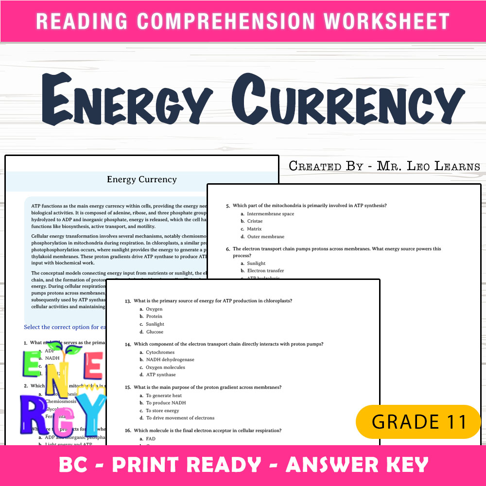 Grade 11 Science worksheet mcq paper worksheet — Grade 11 Science — Worksheet MCQ Paper for Mastering Energy Currency — pa…