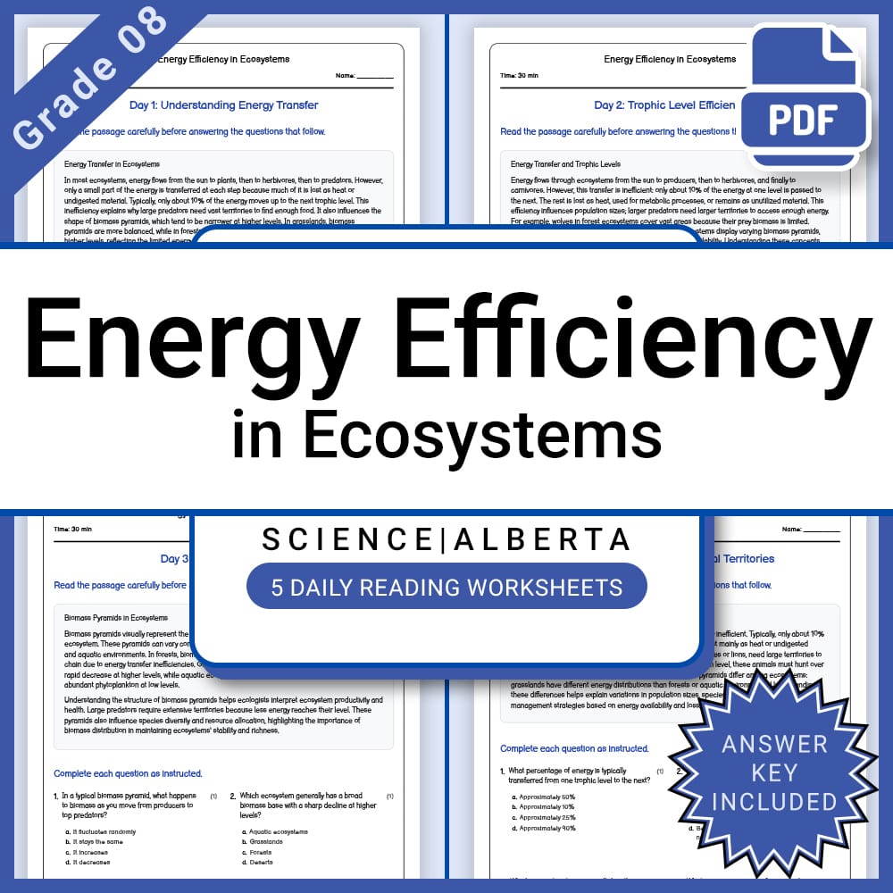 Grade 8 Science Lesson Bundle | Ecosystems, Energy, and Environmental Impact — included worksheet 5