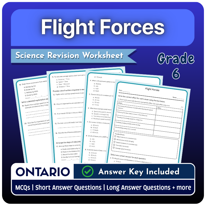 Grade 6 Science | Flight Forces Worksheet – Ontario Standards (PDF)
