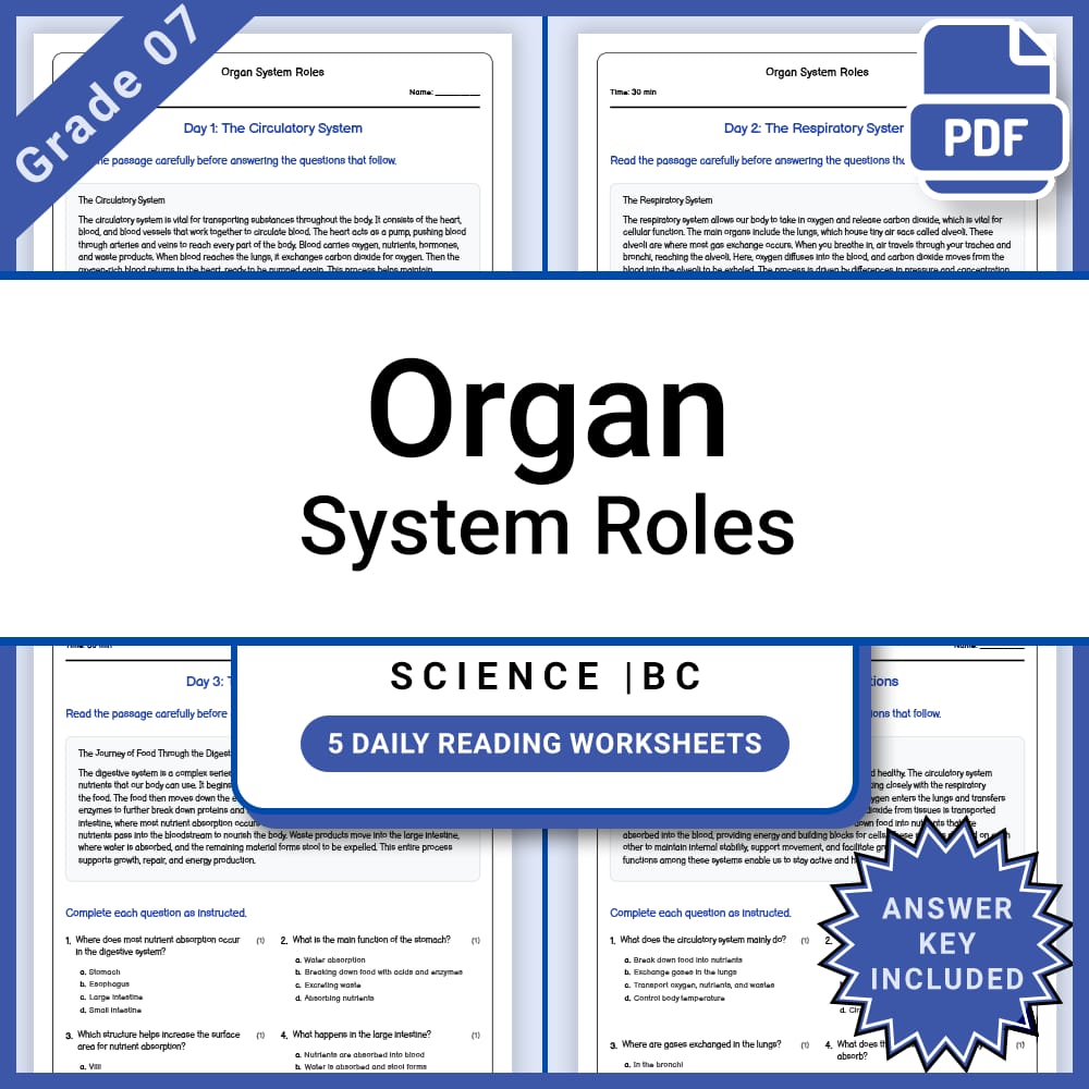 Grade 7 Science Lesson Group Bundle | Cell Structures and Processes — included worksheet 7