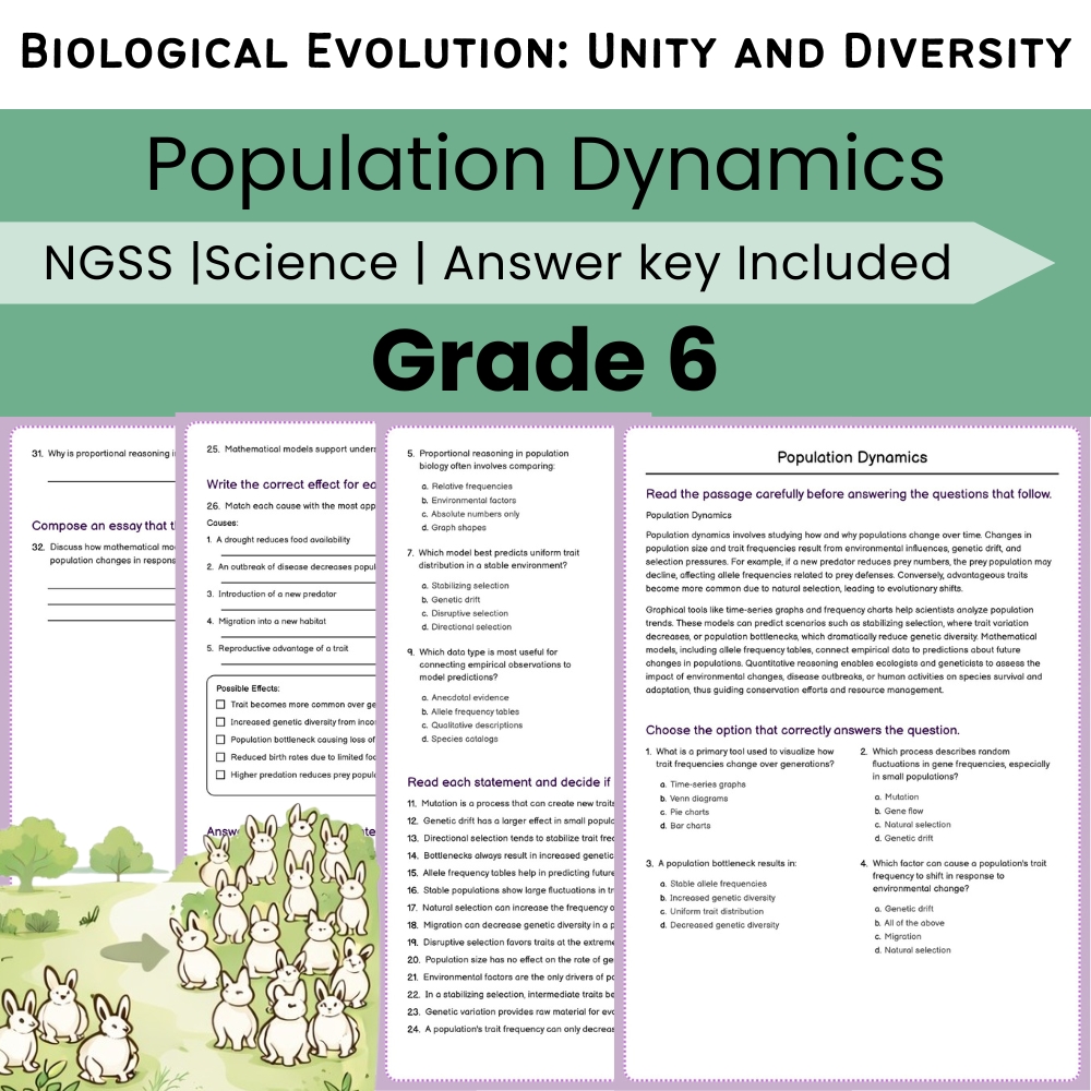 Grade 6 Science NGSS Worksheet Bundle | Comprehensive STEM Practice Pack — included worksheet 19