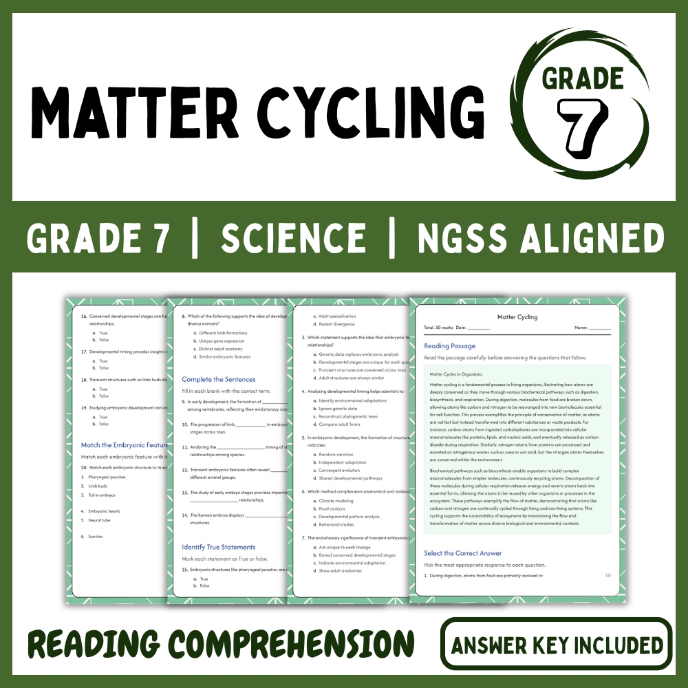 Grade 7 Science g7 ngss worksheet — Grade 7 Science | Matter Cycling Worksheet (NGSS Practice & Assessment PDF)