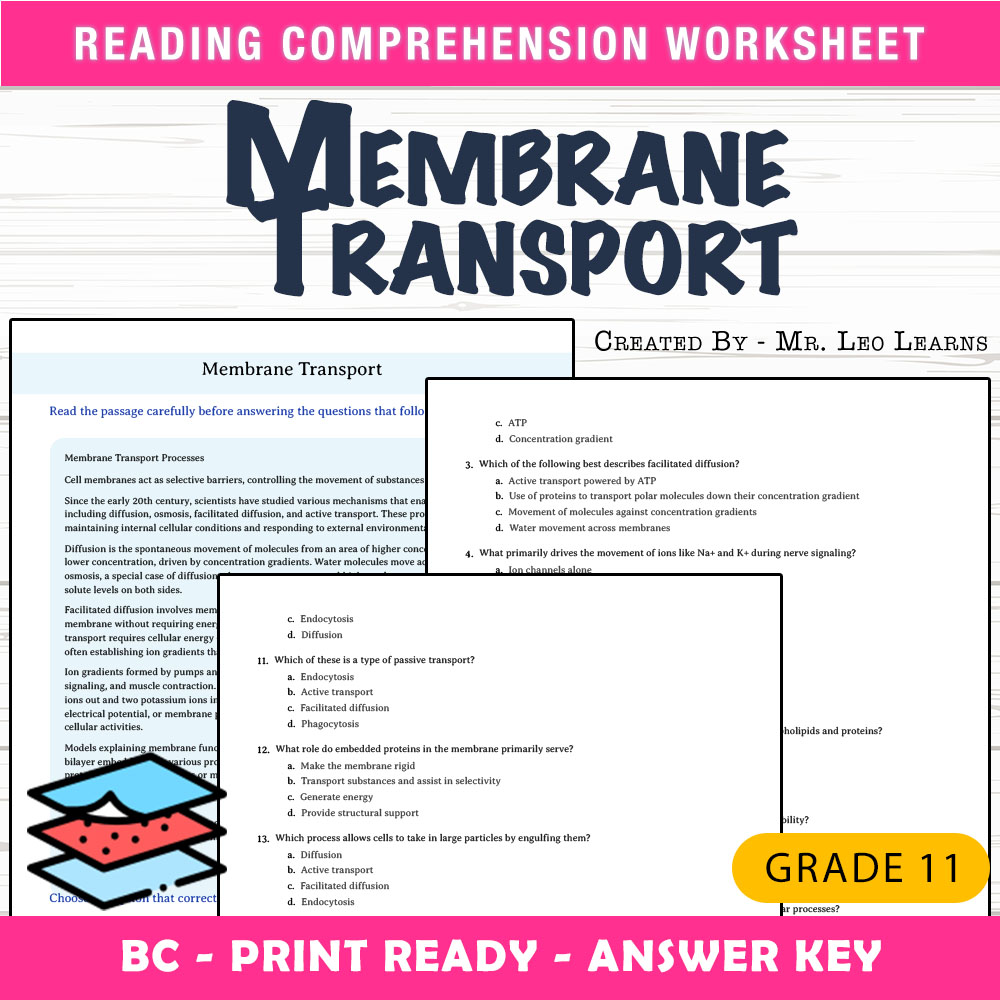 Grade 11 Science worksheet mcq paper worksheet — Grade 11 Science — Membrane Transport Worksheet MCQ Paper | PDF + Answer…