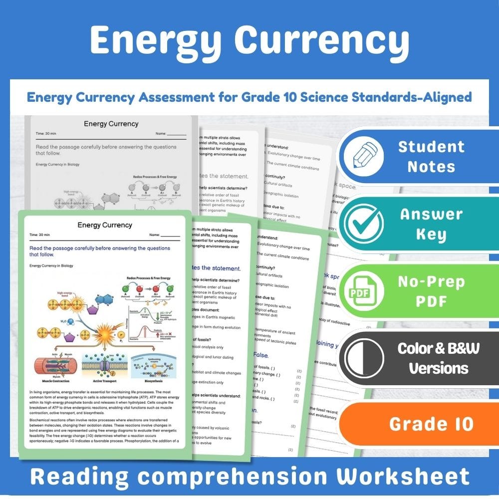 Grade 10 Science assessment worksheet — Energy Currency Assessment for Grade 10 Science Standards-Aligned — page 1