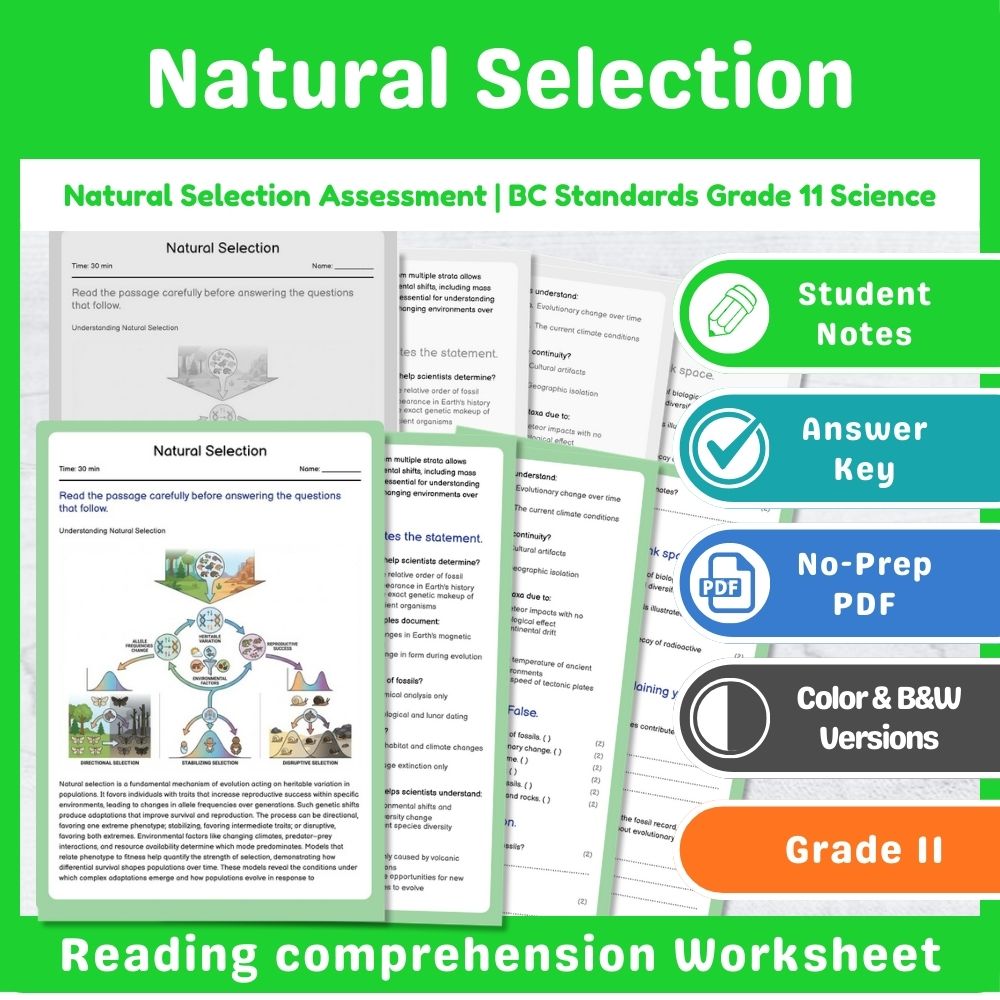 Grade 11 Science Lesson Assessment Bundle | Photosynthesis & Genetics — included worksheet 10