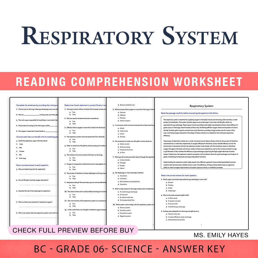 Grade 6 Science worksheet worksheet — 6th Grade Science | Respiratory System Worksheet (PDF+ Answer Key) — page 1