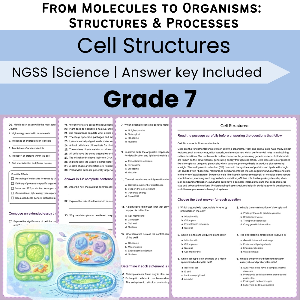 Grade 7 Science Lesson Bundle | From Molecules to Organisms NGSS — included worksheet 5