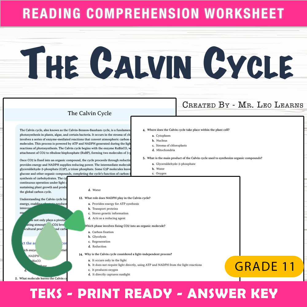 Grade 11 Science worksheet worksheet — Grade 11 Science — The Calvin Cycle Worksheet for Mastering Photosynthesis — page 1