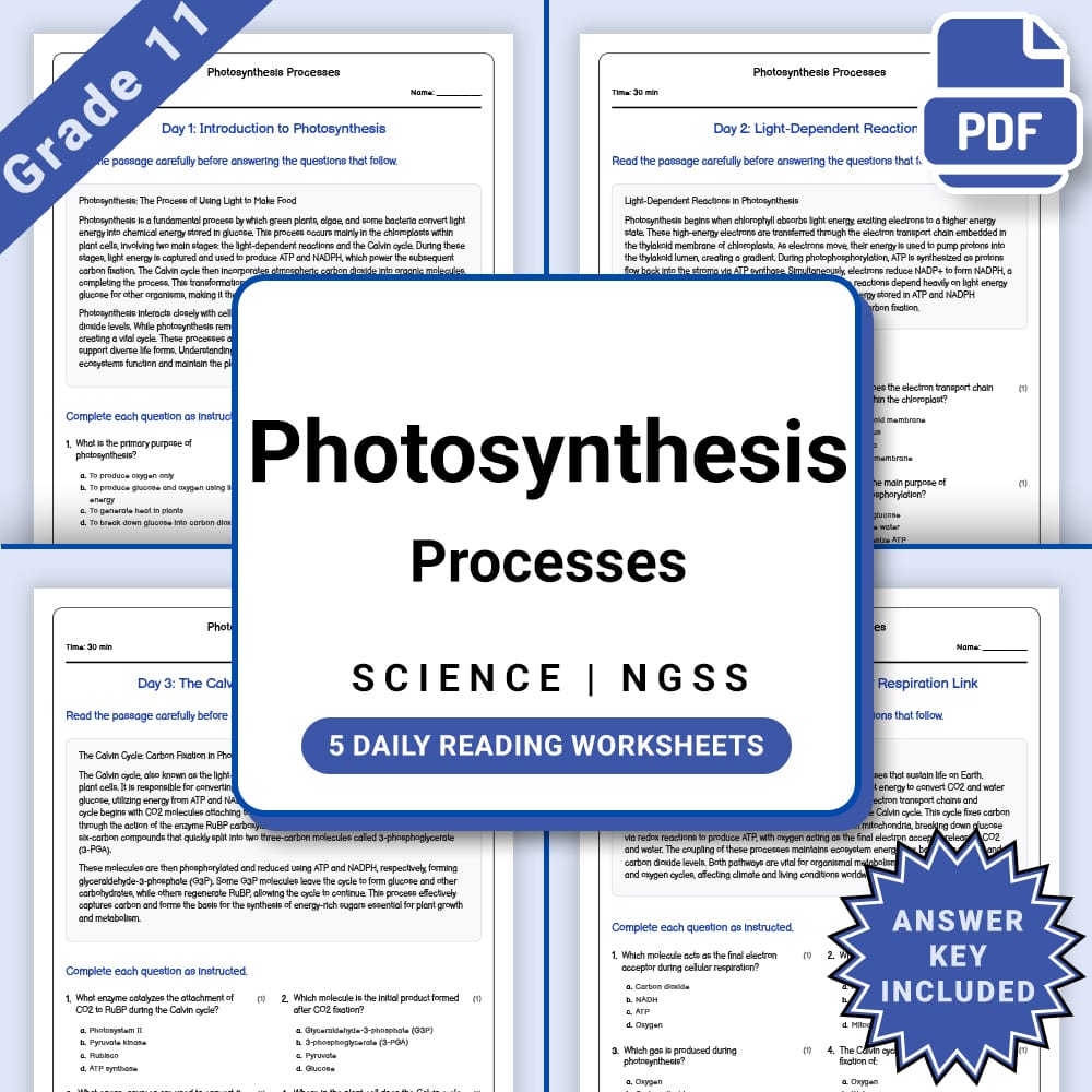 Grade 11 Science daily reading worksheet worksheet — Grade 11 Science – Photosynthesis Processes Worksheet(PDF +Answer Key…