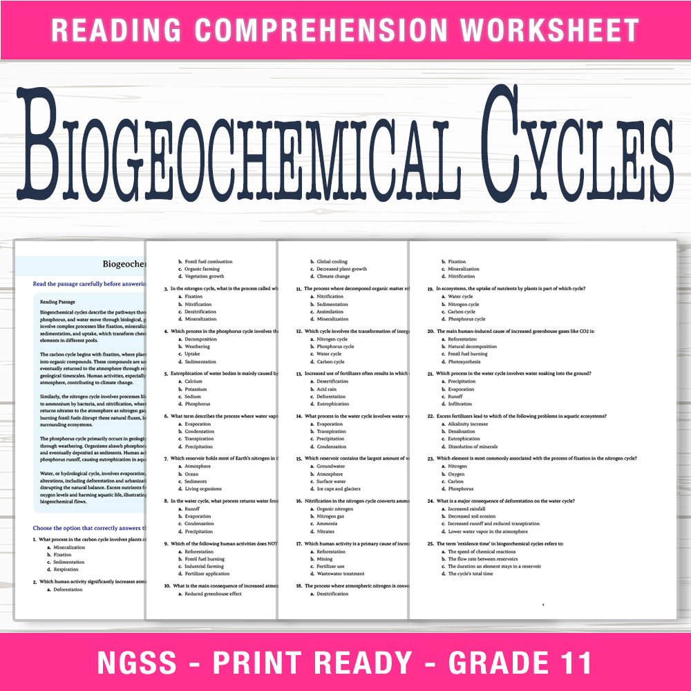 Grade 11 Science worksheet worksheet — Grade 11 Science – Biogeochemical Cycles Worksheet (PDF + Answer Key) — page 1