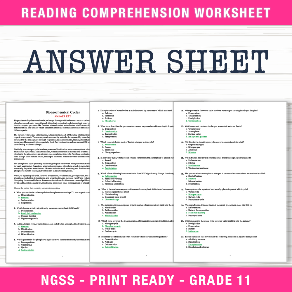 Grade 11 Science worksheet worksheet — Grade 11 Science – Biogeochemical Cycles Worksheet (PDF + Answer Key) — page 2