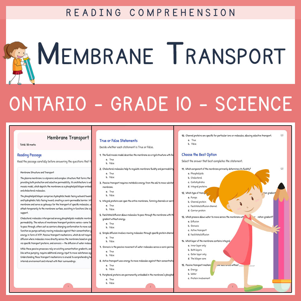 Grade 10 Science worksheet elena worksheet — Grade 10 Science | Membrane Transport Worksheet Elena | Ontario Standard — pa…