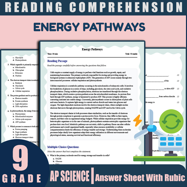 Grade 9 Science reading worksheets worksheet — Grade 9 Science | Energy Pathways Reading Worksheet (PDF + Answer Key) — pa…