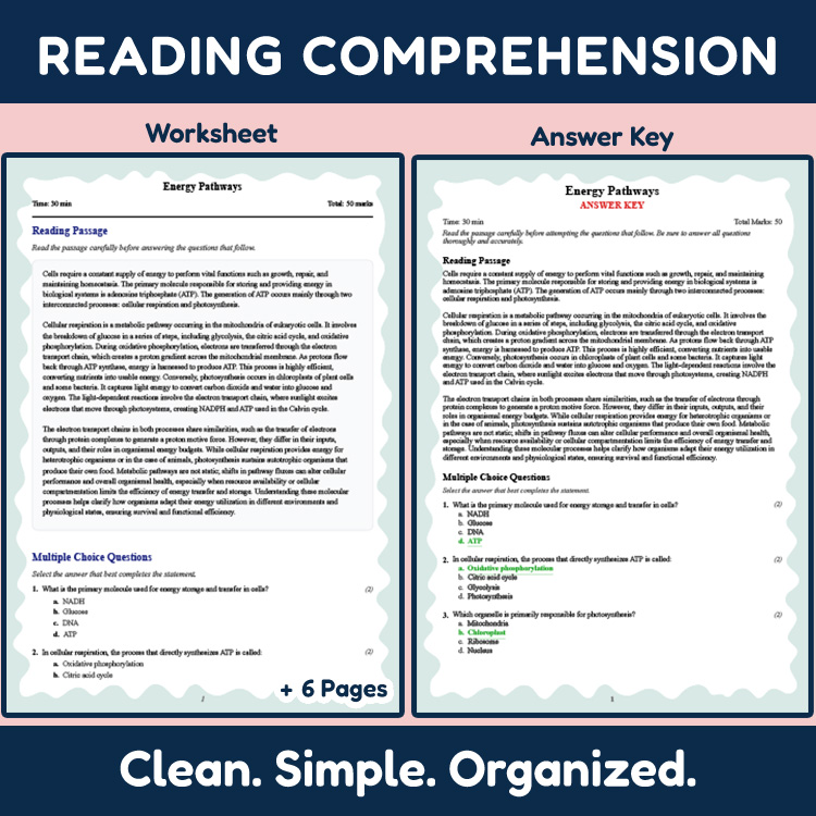 Grade 9 Science reading worksheets worksheet — Grade 9 Science | Energy Pathways Reading Worksheet (PDF + Answer Key) — pa…
