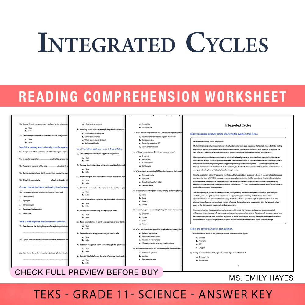 Grade 11 Science worksheet worksheet — 11th Grade Science | Integrated Cycles Worksheet (PDF+ Answer Key) — page 1