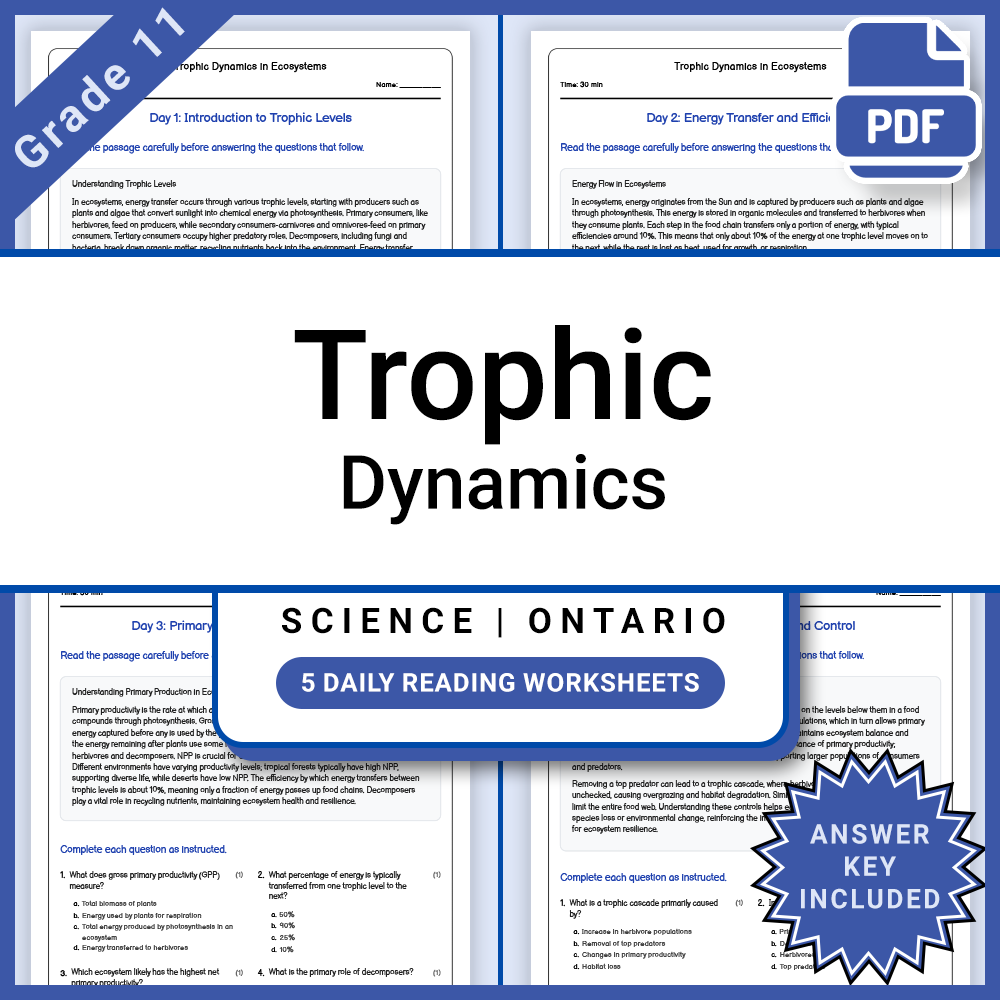 Grade 11 Science Full Year Bundle | Ontario Curriculum & Standards — included worksheet 24