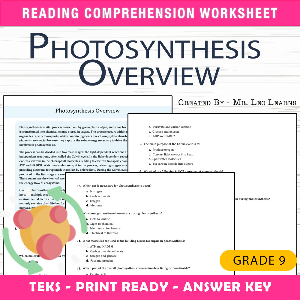 Grade 9 Science worksheet worksheet — Grade 9 Science – Photosynthesis Overview Worksheet for Mastery — page 1