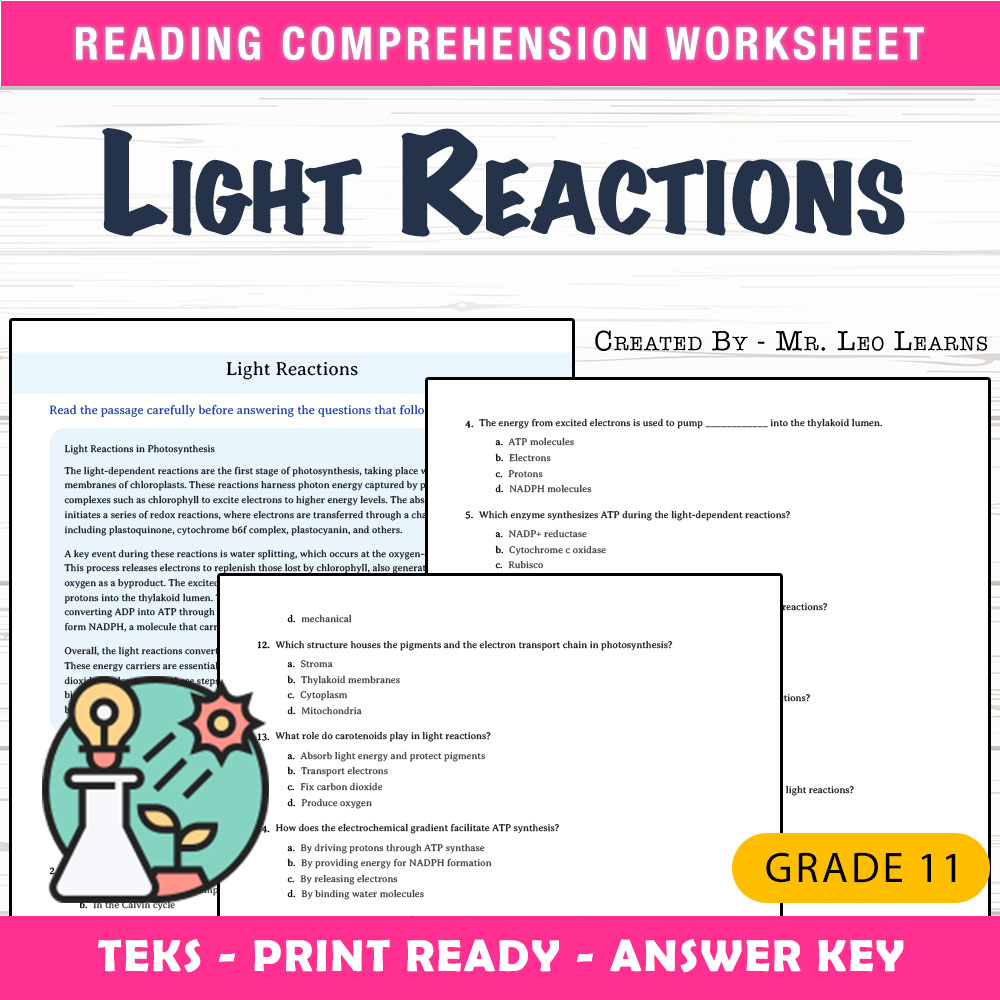 Grade 11 Science worksheet worksheet — Grade 11 Science – Light Reactions Worksheet for Mastering Photosynthesis — page 1