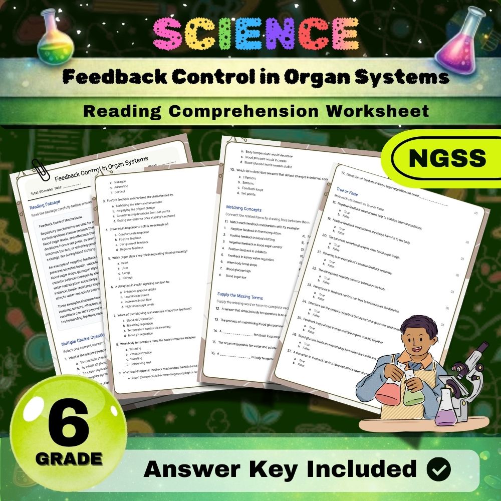 Grade 6 Science Worksheets Bundle | NGSS-Aligned — included worksheet 24