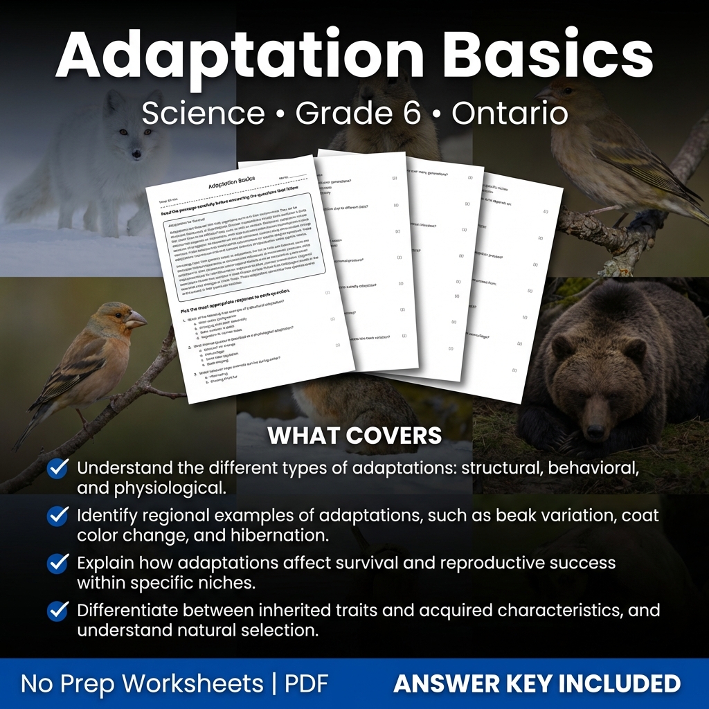 Grade 6 Science worksheet — Adaptation Basics Science Worksheet | Ontario Grade 6 Assessment