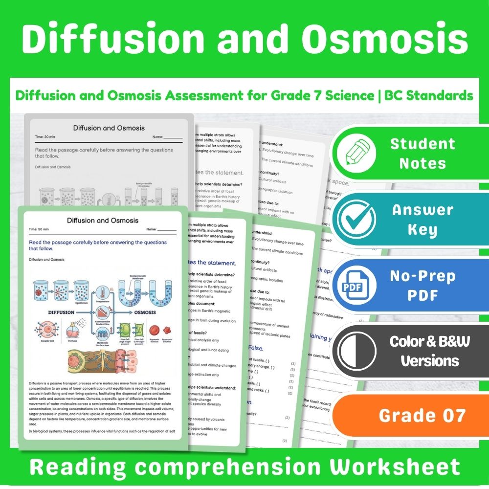 Grade 7 Science | Cell Functions & Organization Assessment – Standards-Aligned — included worksheet 8