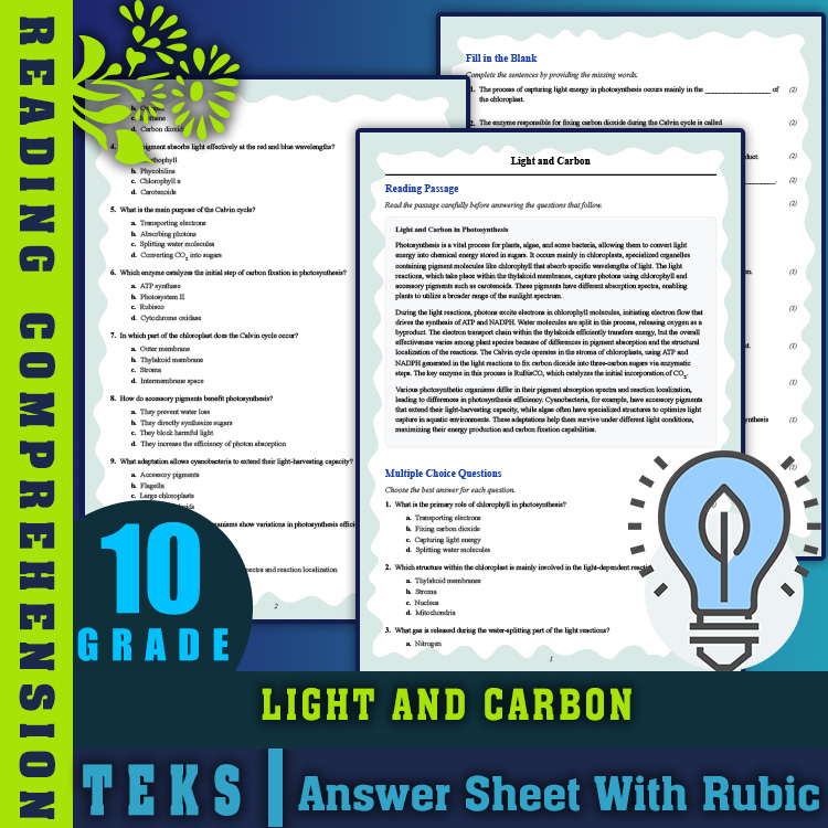 Grade 10 Science reading worksheets worksheet — 10th Grade Science | Light and Carbon Reading Worksheet (PDF + Rubric) — p…
