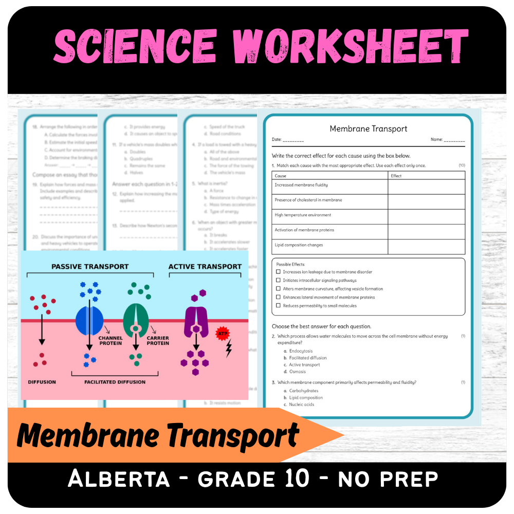Grade 10 Science | Membrane Transport Worksheet (PDF) (Science 1)