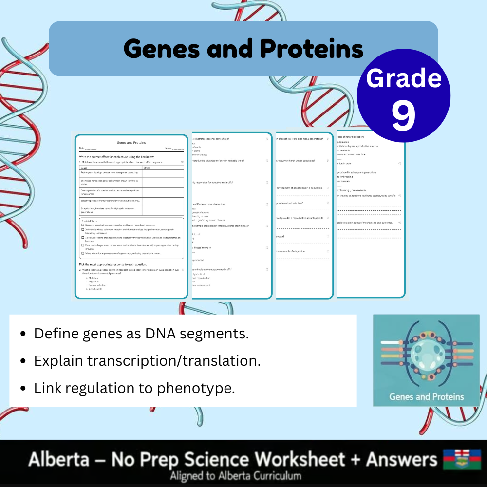Grade 9 Science Worksheet Bundle | Genetics, Chemistry & Physics Concepts — included worksheet 28