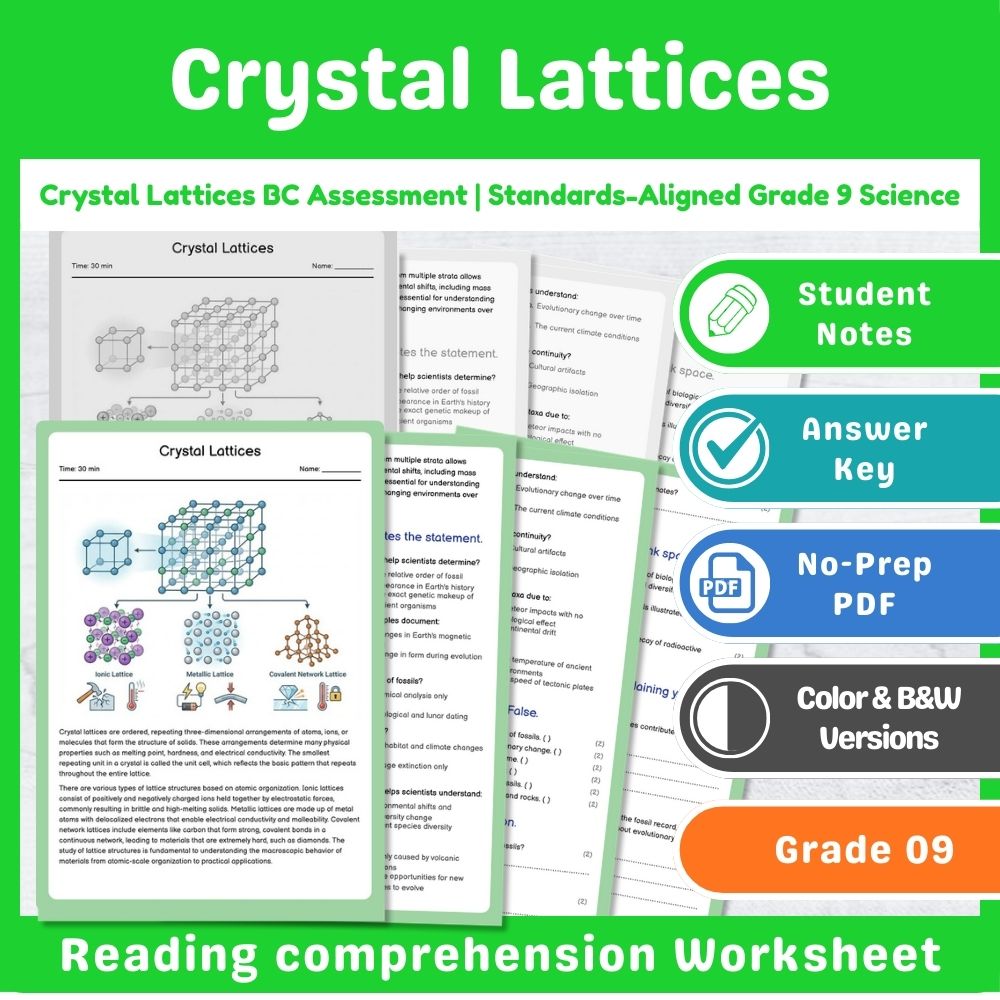 Grade 9 Science Mini Bundle | Chemical Reactions Assessment – BC Standards — included worksheet 8