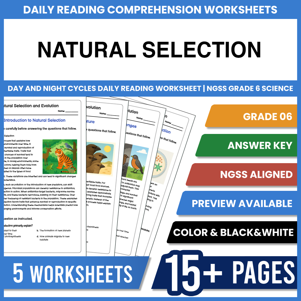 Grade 6 Science Matter and Its Interactions Lesson Bundle | NGSS — included worksheet 3