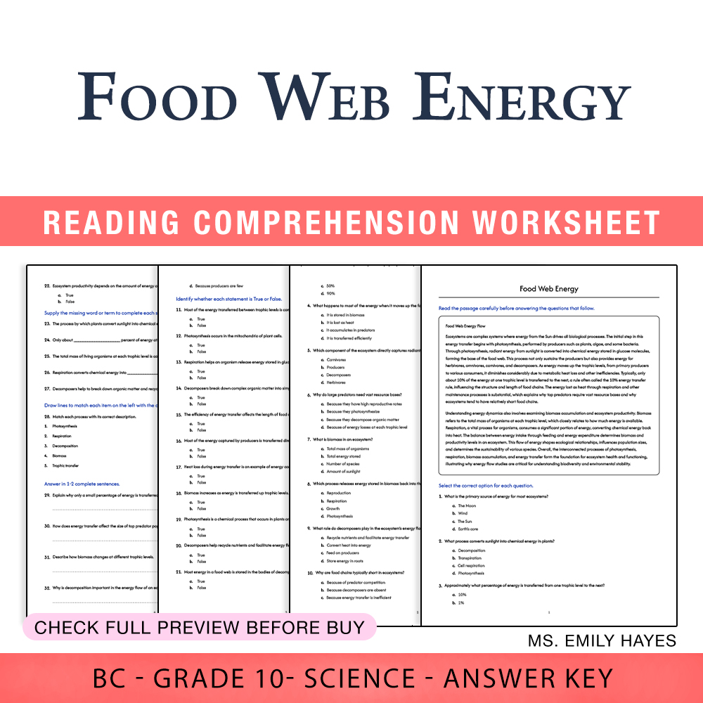 Grade 10 Science worksheet worksheet — 10th Grade Science | Food Web Energy Worksheet (PDF + Answer Key) — page 1