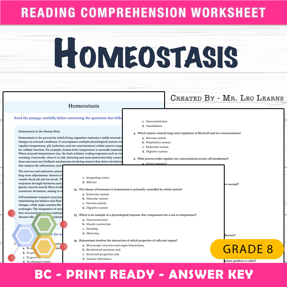 Grade 8 Science worksheet mcq paper worksheet — Grade 8 Science — Homeostasis Worksheet MCQ Paper — page 1